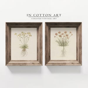 Muted Tone Botanical Wall Art Set of 2 / Red and Yellow Flowers / Vintage Floral Prints / Minimalist Flower Drawings PRINTABLE | P206 image 4
