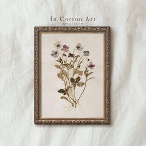 Impresión botánica vintage de estilo cottagecore francés, descarga digital de flores silvestres prensadas, decoración estética rústica de herbario floral / P303