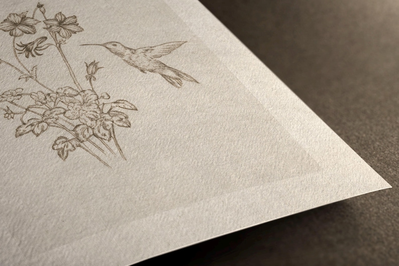 Puede incluir: Ilustraci&oacute;n detallada en sepia de un colibr&iacute; en vuelo, con flores y follaje, impresa en papel texturizado blanquecino. Se aprecia la esquina del papel, con un borde limpio y n&iacute;tido.