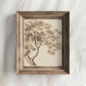 Vintage Rustic Tree Drawing PRINTABLE / Antique Nature Sketch Art ...