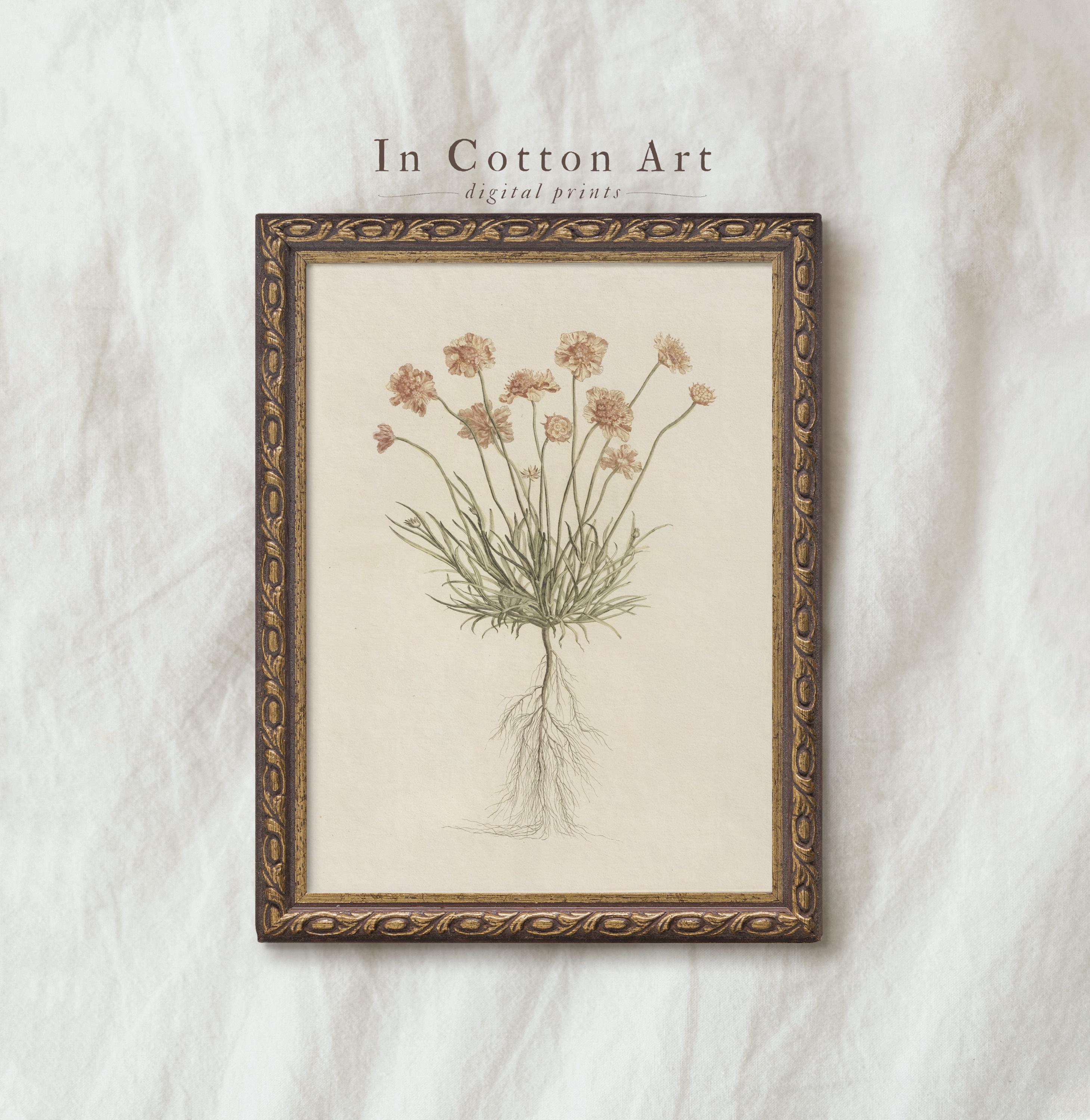Vintage Botanical Home Decor / Antique Floral Illustration / Red Scabiosa Wall Art PRINTABLE / Flower Art Print in Muted Tones | P206