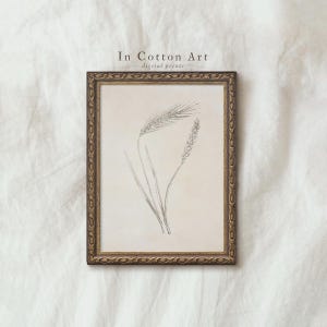 Vintage Botanical Line Drawing / Farmhouse Wheat Print / Minimalist Sketch PRINTABLE | D34