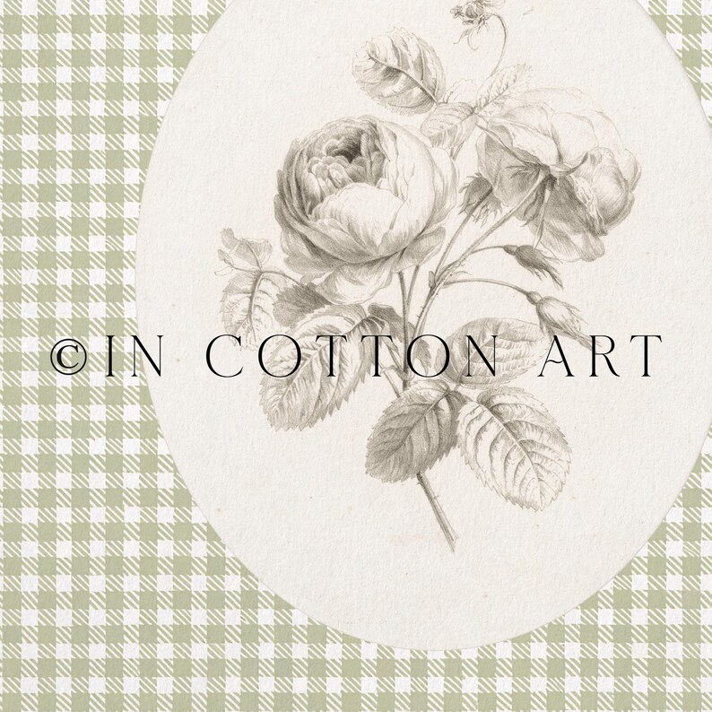 Pu&ograve; includere: Un'illustrazione in bianco e nero di una rosa con foglie e boccioli. L'immagine &egrave; su uno sfondo a quadri vichy verde e bianco. Il testo "&copy; IN COTTON ART" &egrave; in basso nell'immagine.