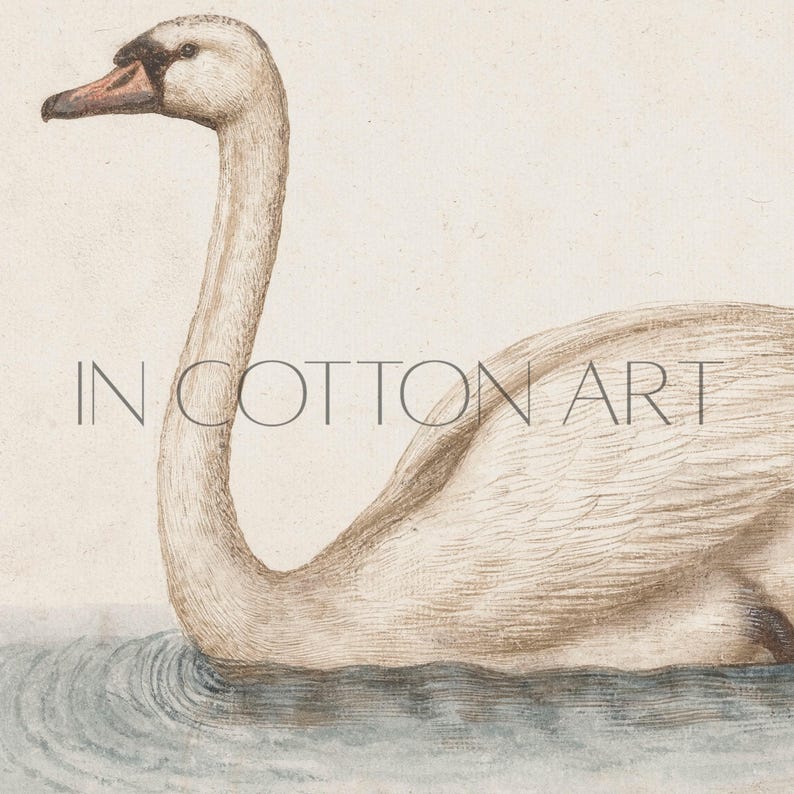 Delicate Swan Painting / Vintage Nursery Art Print / French Country Room Decor / Digital PRINTABLE InCottonArt | P181 image 9