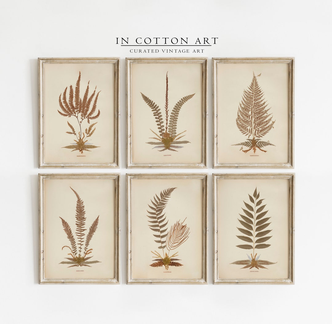 Set of 6 Vintage Botanical Wall Art Prints / PRINTABLE Floral Cottage ...