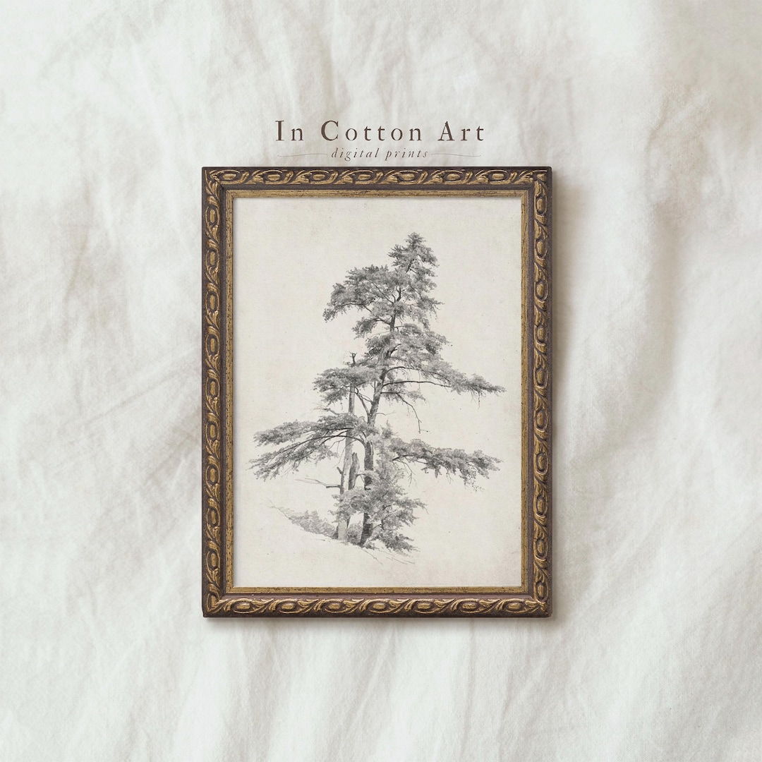 Rustic Pine Tree Drawing PRINTABLE / Vintage Nature Wall Art ...