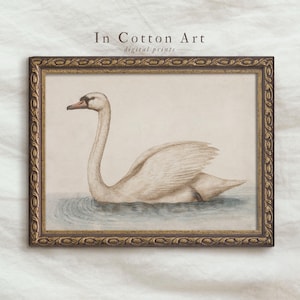 Delicate Swan Painting / Vintage Nursery Art Print / French Country Room Decor / Digital PRINTABLE InCottonArt | P181