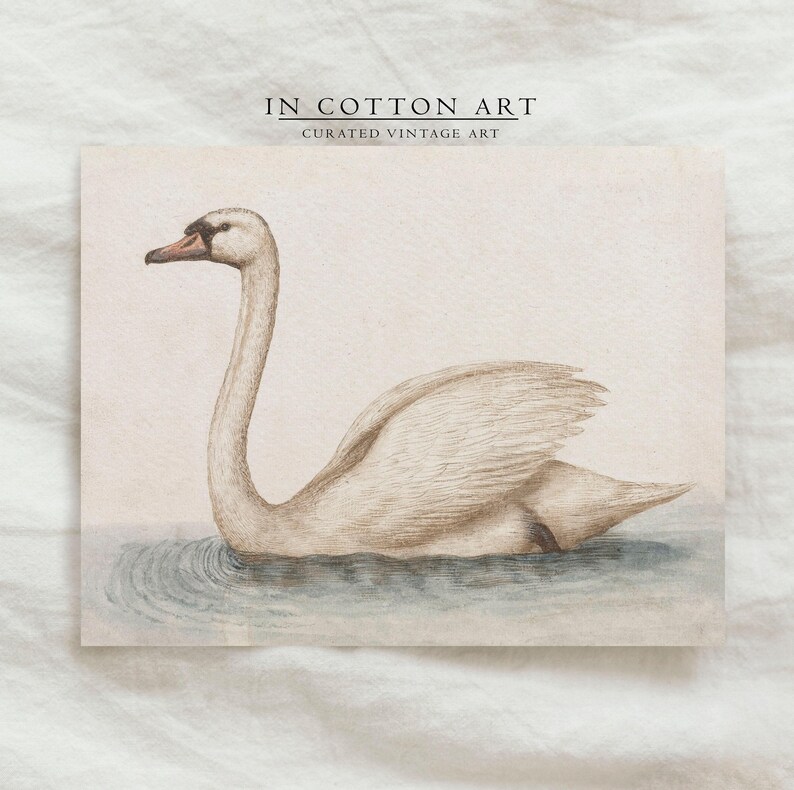 Delicate Swan Painting / Vintage Nursery Art Print / French Country Room Decor / Digital PRINTABLE InCottonArt | P181 image 5