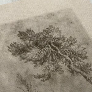 Vintage Tree Drawing PRINTABLE / Neutral Rustic Sketch Print ...
