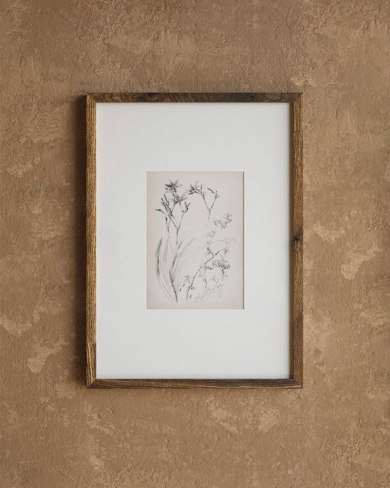 Botanical minimalist sketch print, Wildflower sketch, Vintage farm sketch, Botanical farmhouse sketch, Sketch plant minimalist, Dainty print image 4