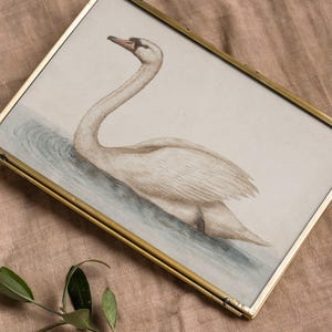 Delicate Swan Painting / Vintage Nursery Art Print / French Country Room Decor / Digital PRINTABLE InCottonArt | P181 image 7