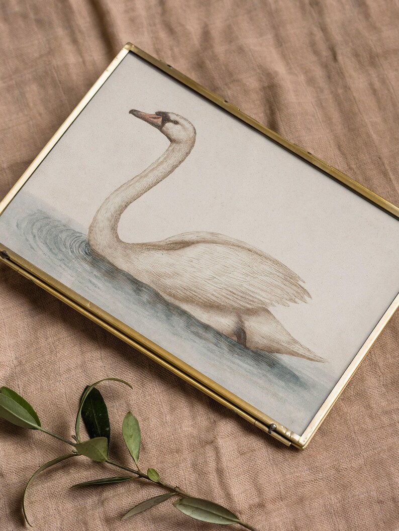 Delicate Swan Painting / Vintage Nursery Art Print / French Country Room Decor / Digital PRINTABLE InCottonArt | P181 image 7