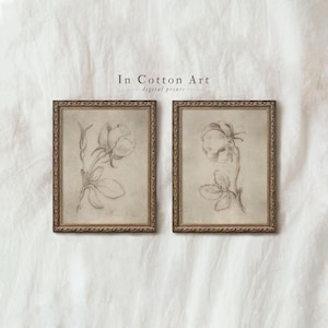 two framed botanical drawings of flowers, with a text overlay that reads "In Cotton Art digital prints".
