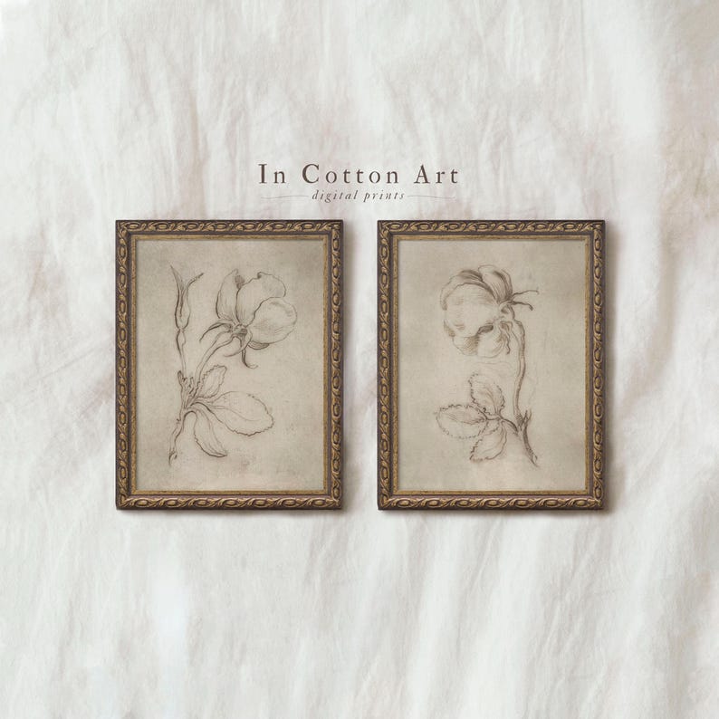 two framed botanical drawings of flowers, with a text overlay that reads "In Cotton Art digital prints".
