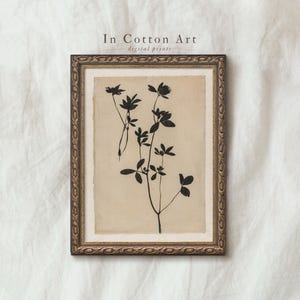 Floral Silhouette Wall Art, Vintage Farmhouse Botanical Print, Elegant Flower Illustration, Minimalist Aesthetic Decor In Cotton Art | P290