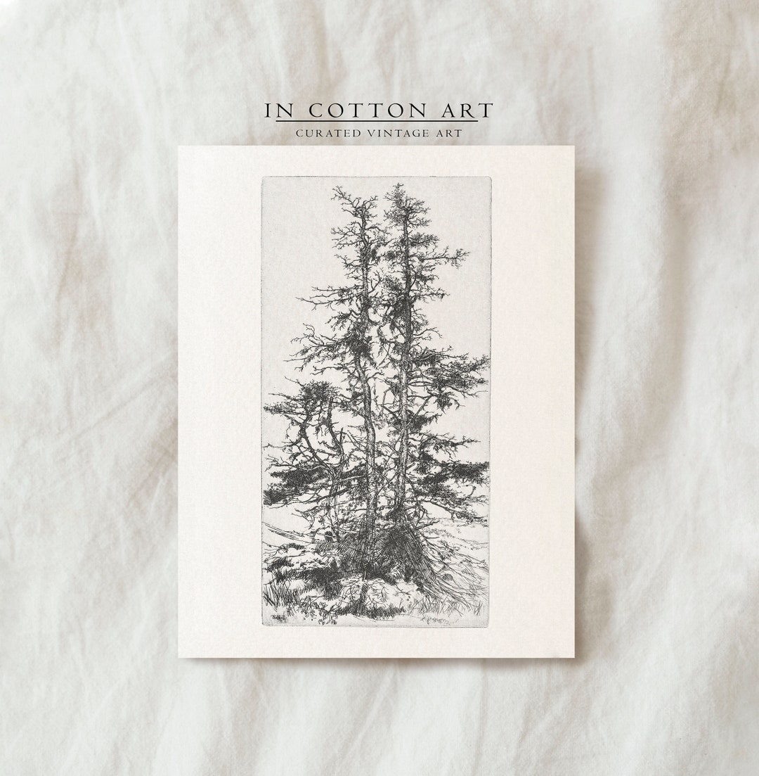 Winter Pine Tree Drawing / Holiday Tree Art Print PRINTABLE / Christmas