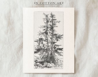 Winter Pine Tree Drawing / Holiday Tree Art Print PRINTABLE / Christmas Digital Art | D2