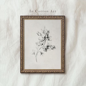 Vintage sketch art printable, Minimalist antique drawing, Farmhouse botanical drawing print, Antique flower sketch, Vintage sketch printable