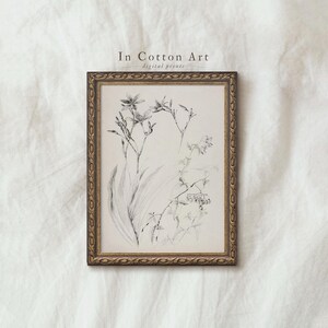 a framed black and white sketch of flowers and plants, placed on a white background.