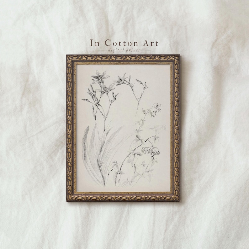 a framed black and white sketch of flowers and plants, placed on a white background.