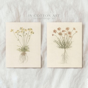 Muted Tone Botanical Wall Art Set of 2 / Red and Yellow Flowers / Vintage Floral Prints / Minimalist Flower Drawings PRINTABLE | P206 image 3