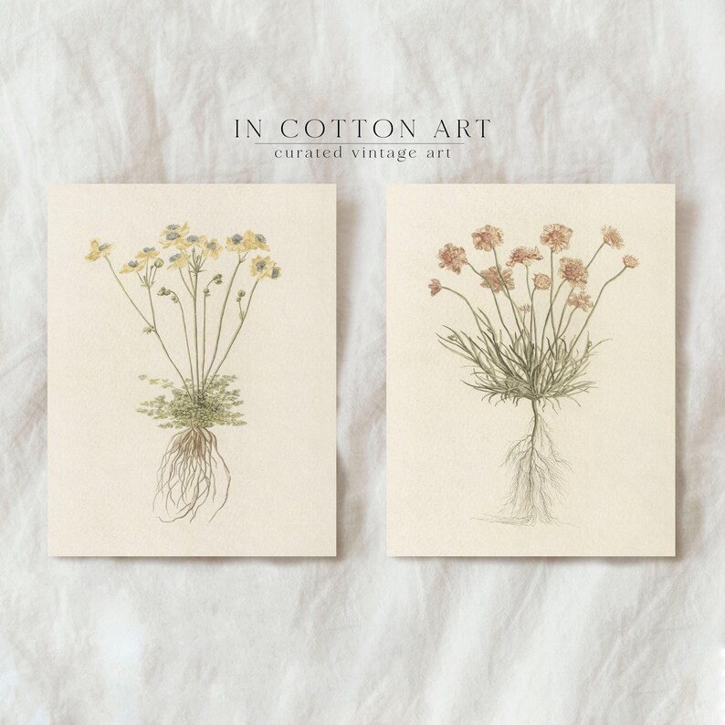 Muted Tone Botanical Wall Art Set of 2 / Red and Yellow Flowers / Vintage Floral Prints / Minimalist Flower Drawings PRINTABLE | P206 image 3