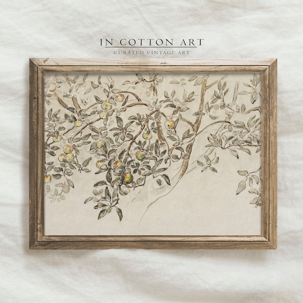 Vintage Neutral Tree Sketch Print / Farmhouse Botanical Drawing PRINTABLE / Country Wall Art Downloadable | D43