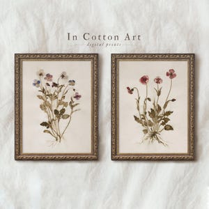 Juego de 2 impresiones de flores prensadas botánicas para pared, descarga imprimible de flores silvestres vintage, arte de pared de estilo rústico francés, decoración de herbario natural / P303