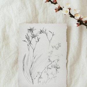 Botanical minimalist sketch print, Wildflower sketch, Vintage farm sketch, Botanical farmhouse sketch, Sketch plant minimalist, Dainty print image 3