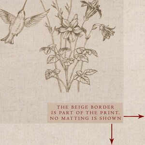 Puede incluir: Una impresi&oacute;n bot&aacute;nica en tonos sepia con un colibr&iacute; en vuelo e ilustraciones florales detalladas. La obra de arte incluye un borde beige, como indica el texto de la imagen. La impresi&oacute;n muestra una est&eacute;tica vintage.