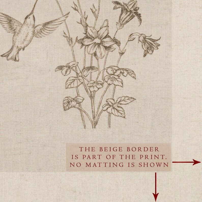 Puede incluir: Una impresi&oacute;n bot&aacute;nica en tonos sepia con un colibr&iacute; en vuelo e ilustraciones florales detalladas. La obra de arte incluye un borde beige, como indica el texto de la imagen. La impresi&oacute;n muestra una est&eacute;tica vintage.