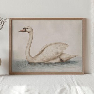 Delicate Swan Painting / Vintage Nursery Art Print / French Country Room Decor / Digital PRINTABLE InCottonArt | P181 image 6