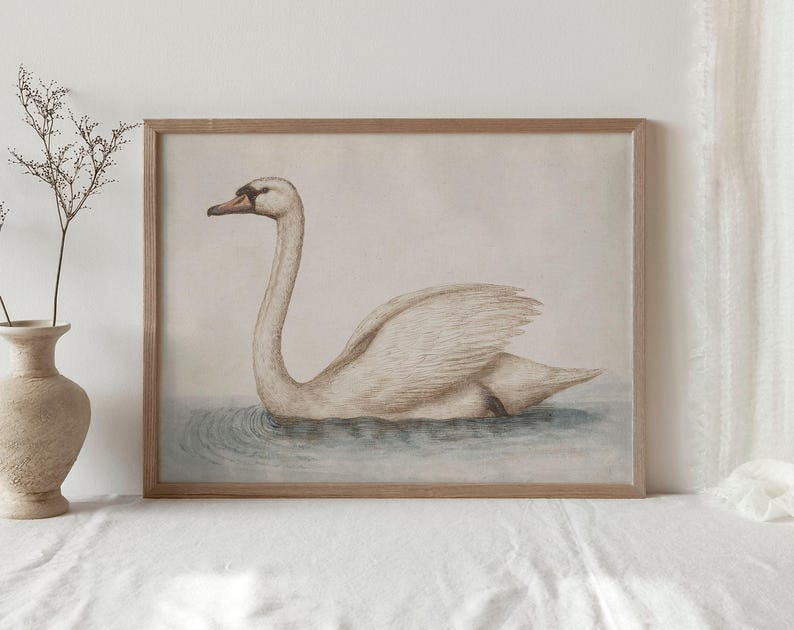 Delicate Swan Painting / Vintage Nursery Art Print / French Country Room Decor / Digital PRINTABLE InCottonArt | P181 image 6