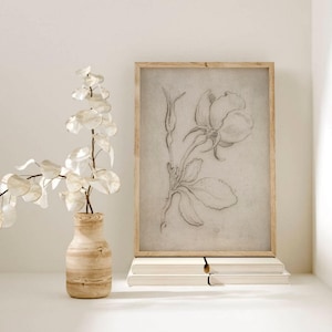 Set di 2 stampe botaniche vintage, schizzo di fiori antichi, schizzo botanico neutro, stampa di schizzo di rose, set di 2 disegni di rose, schizzo artistico immagine 4