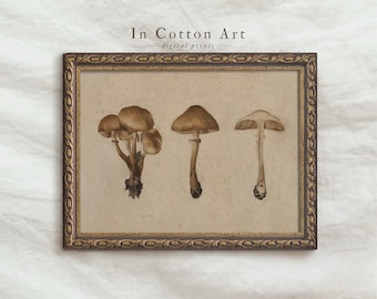 Vintage Mushroom Wall Art PRINTABLE / Antique Fungi Art Print / Botanical Cottagecore Decor / Neutral Fall Watercolor Painting | P187