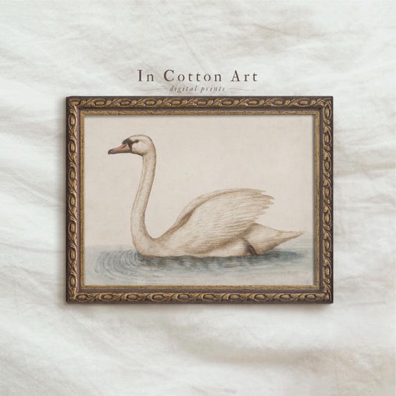 Delicate Swan Painting / Vintage Nursery Art Print / French Country Room Decor / Digital PRINTABLE InCottonArt | P181