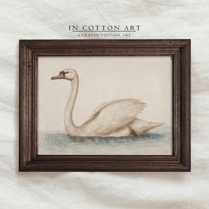 Delicate Swan Painting / Vintage Nursery Art Print / French Country Room Decor / Digital PRINTABLE InCottonArt | P181 image 3