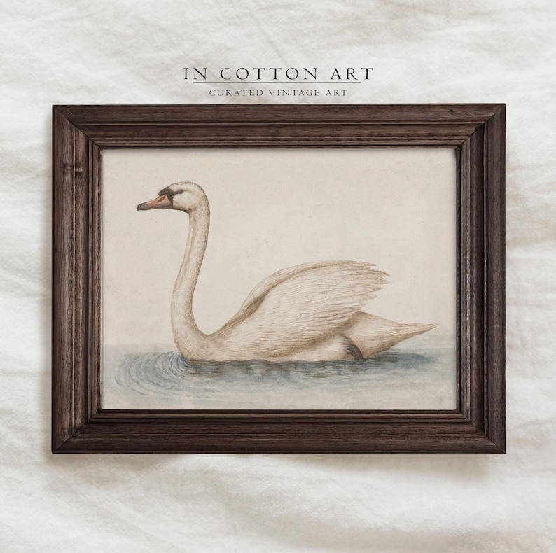 Delicate Swan Painting / Vintage Nursery Art Print / French Country Room Decor / Digital PRINTABLE InCottonArt | P181 image 3