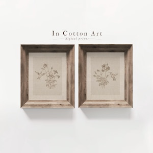 Puede incluir: Dos impresiones enmarcadas con ilustraciones bot&aacute;nicas. Cada impresi&oacute;n muestra un colibr&iacute; y un arreglo floral en tonos neutros. Los marcos son de madera marr&oacute;n claro r&uacute;stica. El texto "In Cotton Art" est&aacute; encima de las impresiones.
