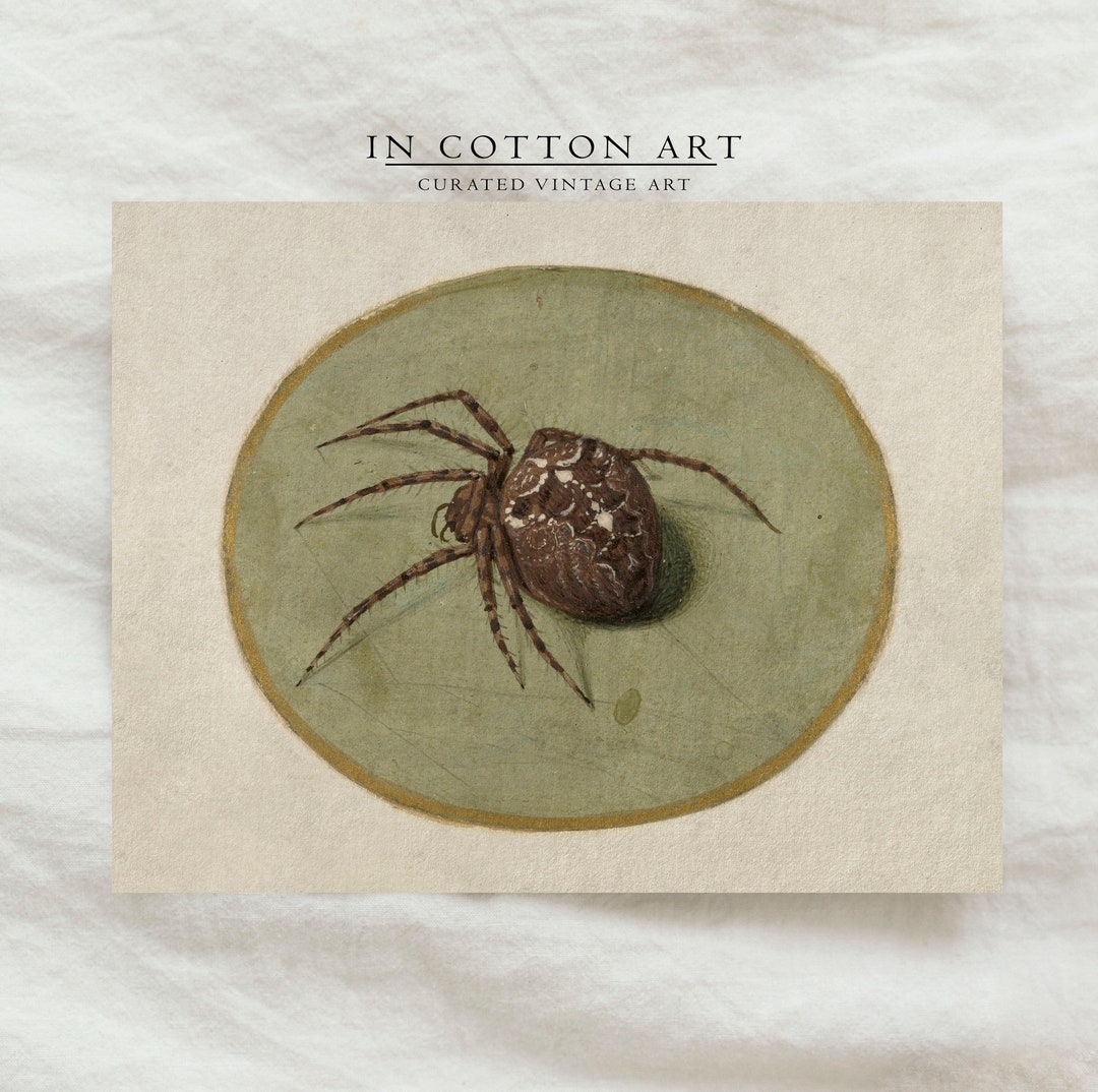 Vintage Spider Art Print / Neutral Halloween Wall Decor PRINTABLE ...