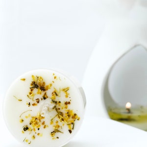 9 velas de té perfumadas Hills 'o' Bracken / Altamente perfumadas, 9 velas de té por paquete, combustión prolongada, calidad, opción de regalo de luz de té, 17 g por luz de té