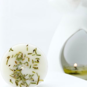 Botanical Soy Wax Tea Lights - Scottish Woodland Scent, Set of 9