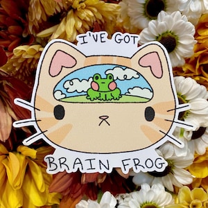 Może przedstawiać: Naklejka z beżową twarzą kota z napisami "I'VE GOT" i "BRAIN FROG". Wewnątrz głowy kota znajduje się niebieskie niebo z chmurami i zielona żaba. Zabawny i fantazyjny design.