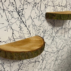 Tree slices for hanging, floating shelf, natural, nature, shelf,