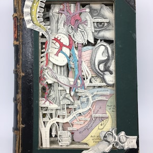 Differential Diagnosis meets Gray&#39;s Anatomy - Book Art - Anatomie - Medical - Doctor - Physician - GP - Book lover - Handmade - Upcycled