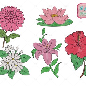Flowers Bundle Embroidery, Flowers embroidery designs, Machine Embroidery Design Floral Bundle, Floral Flower Machine Embroidery, 4 Size