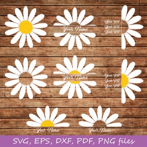 Daisy SVG bundle, Daisy Split Name Frame SVG, Flower svg, Daisy monogram, Daisy clipart, Daisy png, Sunflower svg, Daisy cut files