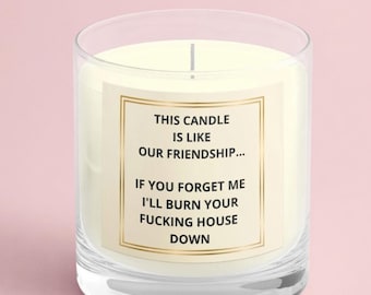 This Candle is Like Our Friendship,  Funny Friendship Candle | Best Friend Gift. Gift for Girlfriend