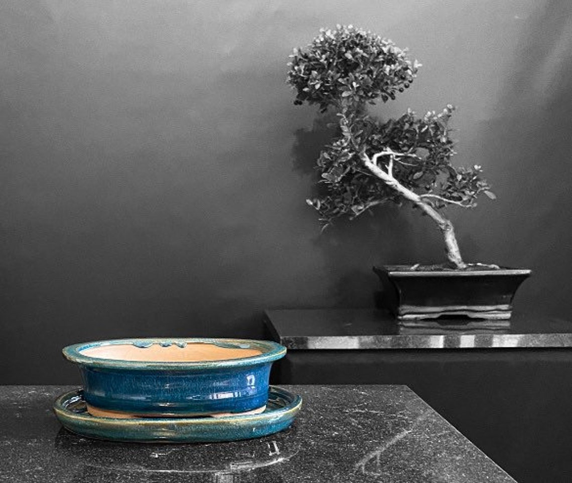 BONSAI POT & Tray Small Plant Pot Indoor or Outdoor Pots Etsy