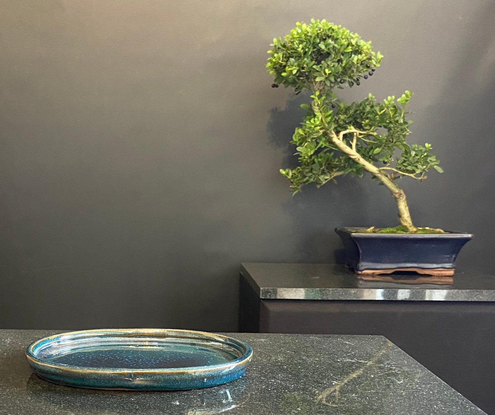 BONSAI POT & Tray Small Plant Pot Indoor or Outdoor Pots Etsy